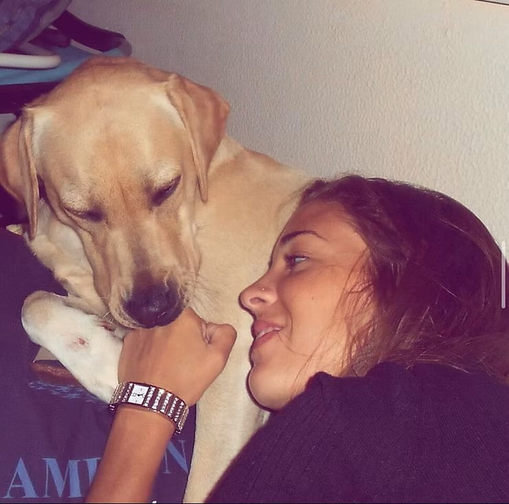 Querida Shiba