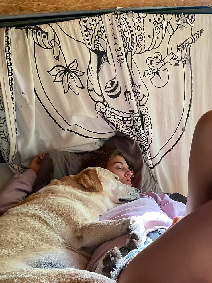Vida de Cão