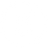 Boss Dog – Início